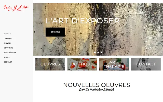 Capture du site Carinart